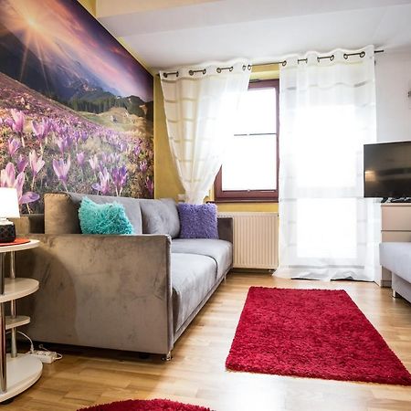 Apartament Promyk Pod Lipkami Apartzakop 扎科帕内 外观 照片