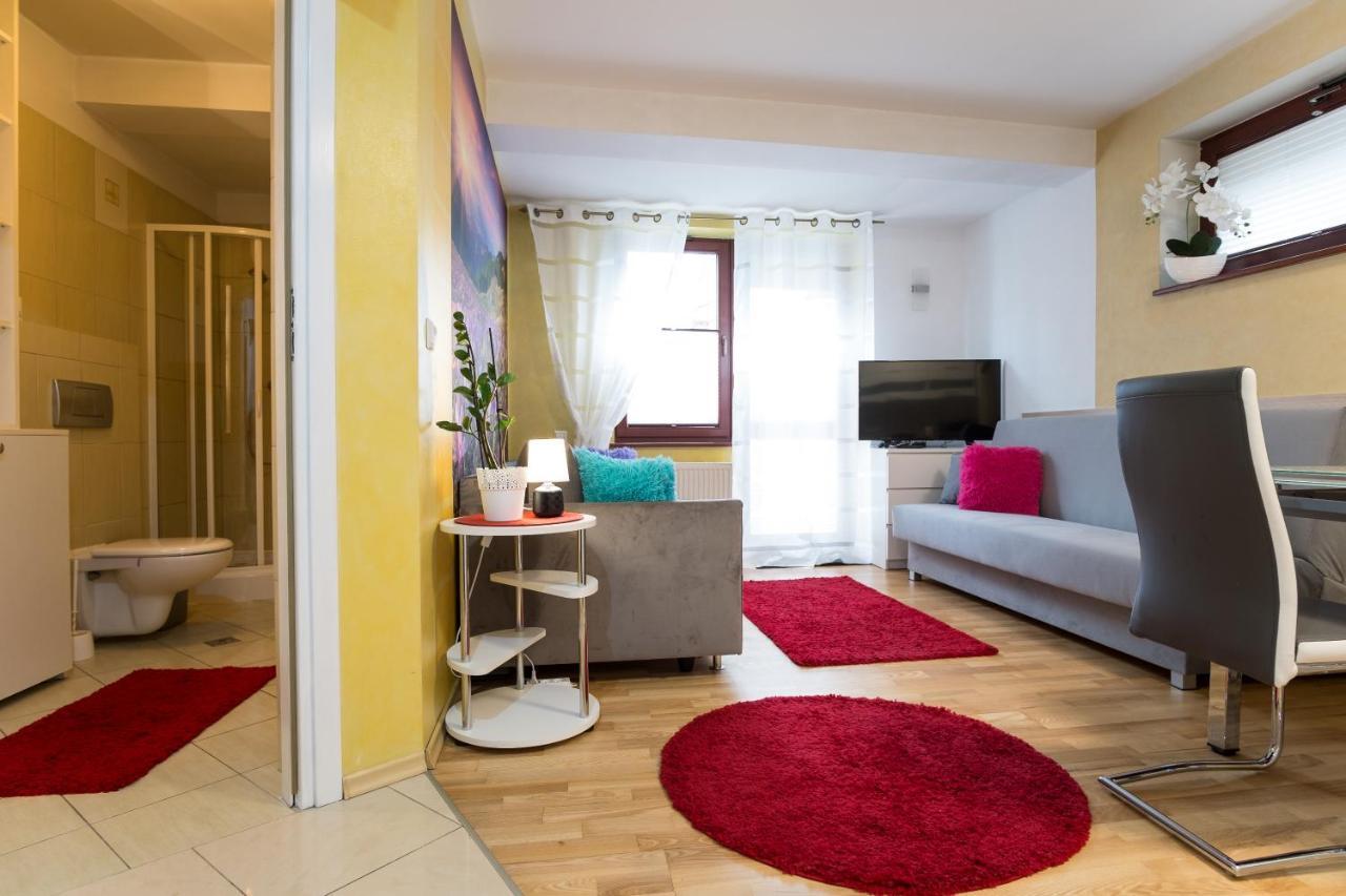 Apartament Promyk Pod Lipkami Apartzakop 扎科帕内 外观 照片